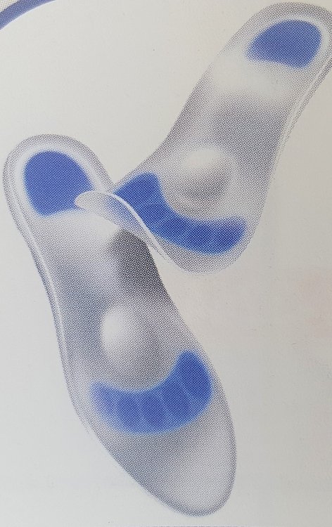 Κυρίτσης Afrodite Πέλματα Σιλικόνης Μ-10990 Medium 39-40 (10992) 1ζεύγος